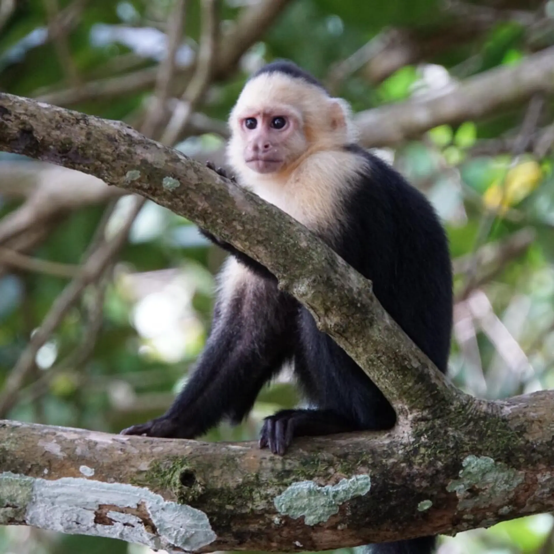 4ba1cd68 32ca 4075 ad3d 4e02b2eba2ce