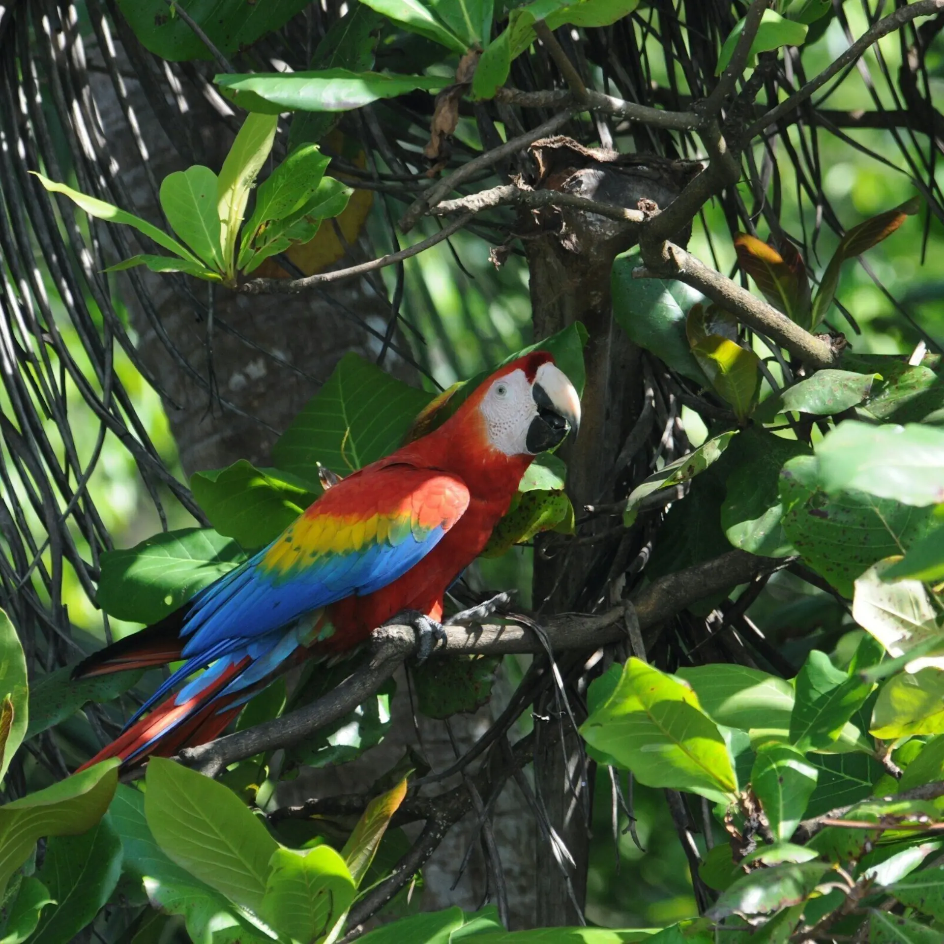 1767712247136richard goggin vtc9pfiekpu unsplash