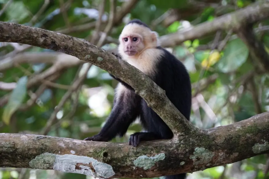 4ba1cd68 32ca 4075 ad3d 4e02b2eba2ce