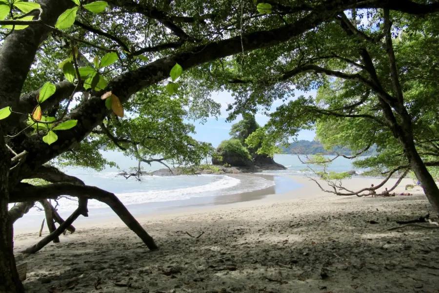 10776204016 img 1656