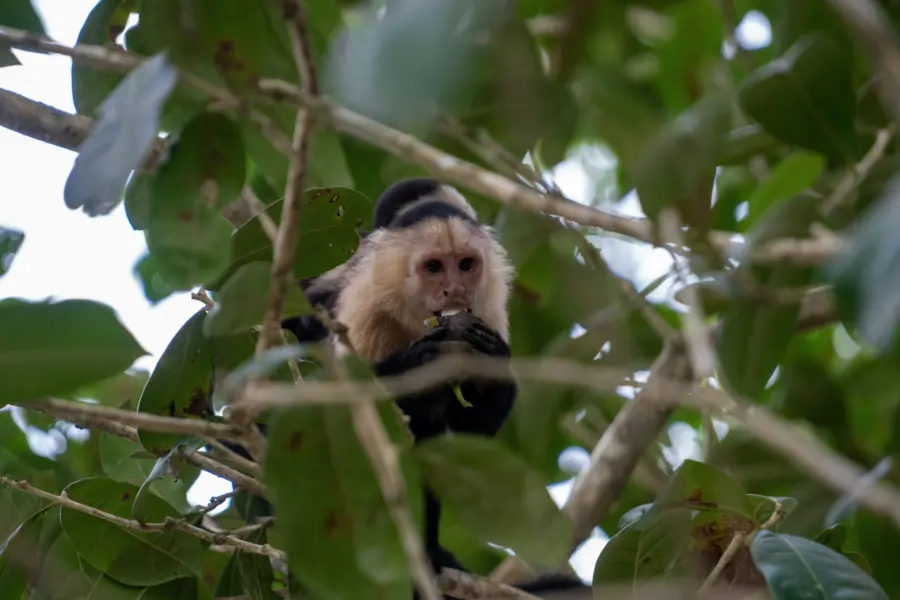 Julian schneckenburger hydp4iuykfw unsplash