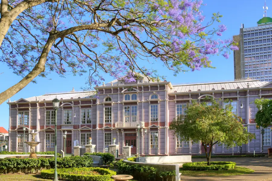 Escuela metaulica jacaranda 1