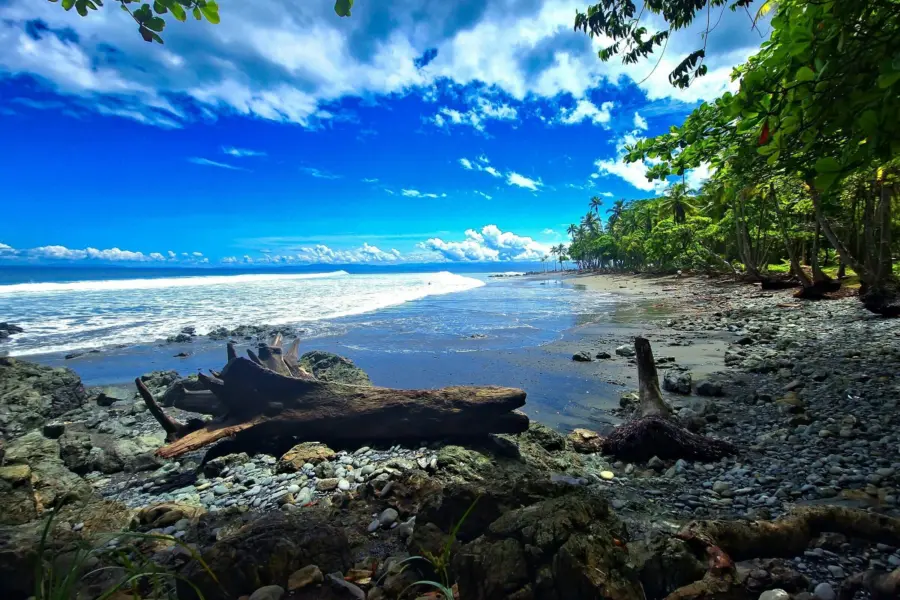 Armando miranda l 3zb7udfco unsplash