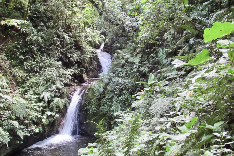 10765506512 img 1528