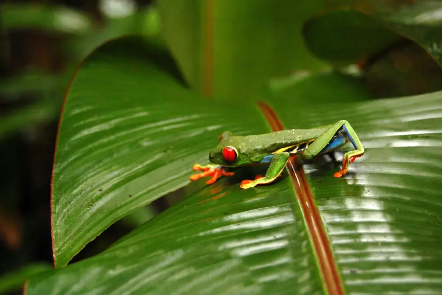 Delphine beausoleil ysrzamwkxrk unsplash