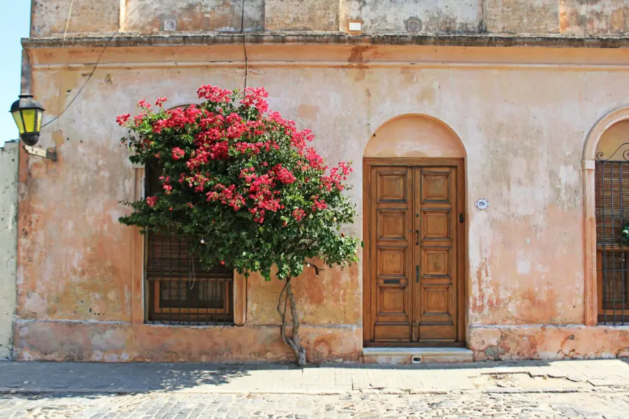 Colonia uruguay