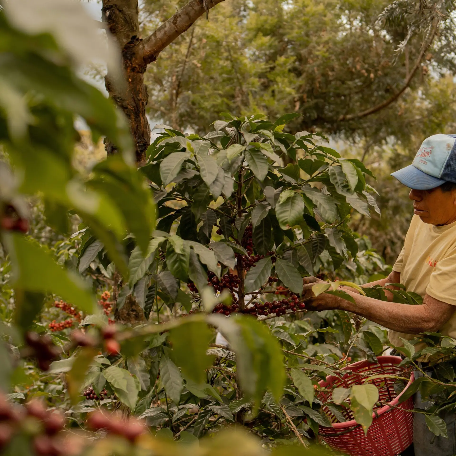 1761580451287shelby murphy figueroa wcgff76xea unsplash