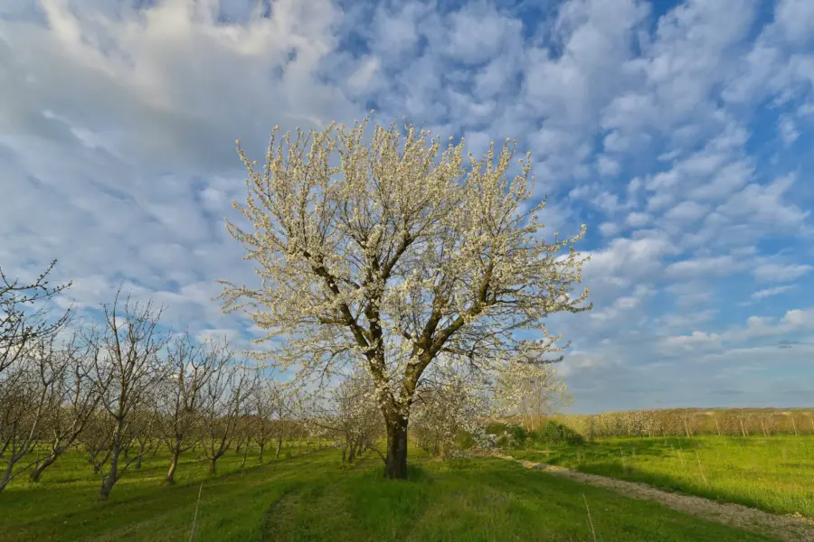 Stefano zocca e qivxkstfg unsplash
