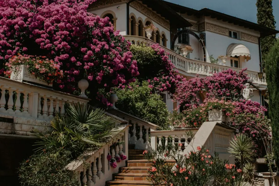 Rhamely 2 vpggekm4q unsplash