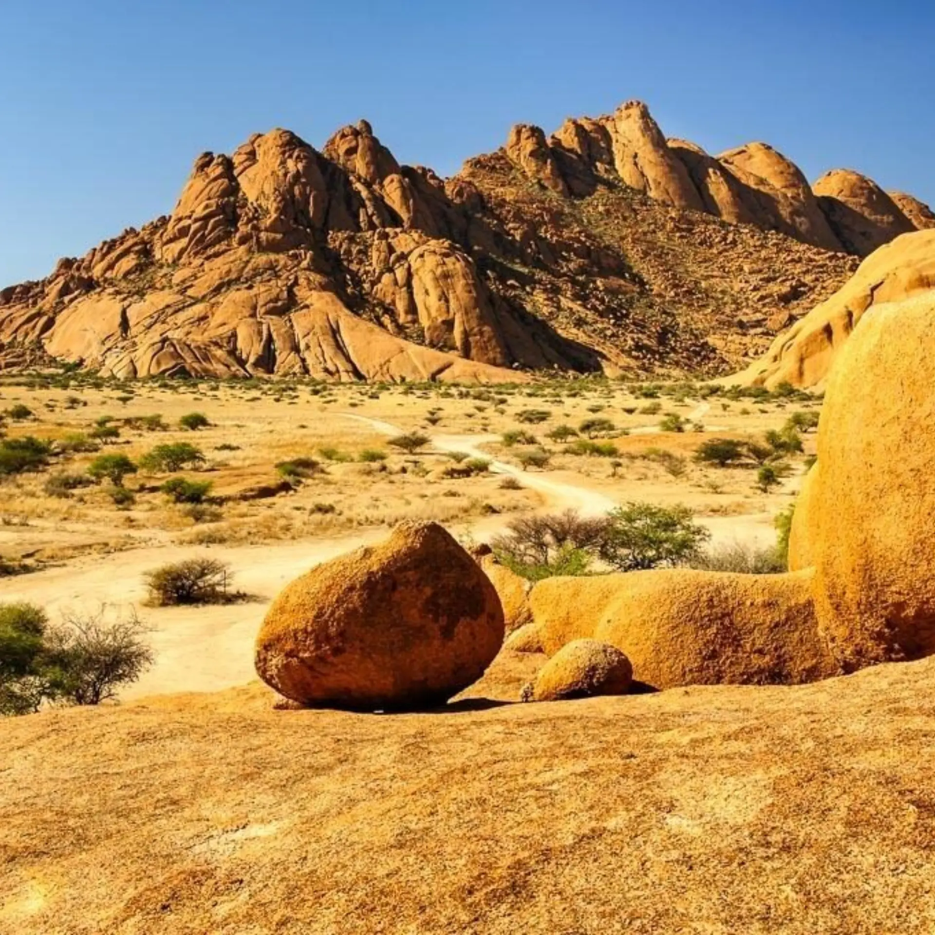 Dag11 twyfelfontein1 0005