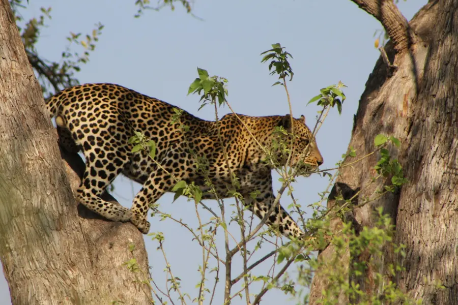 Samantha burger ro8wcdvmq5q unsplash