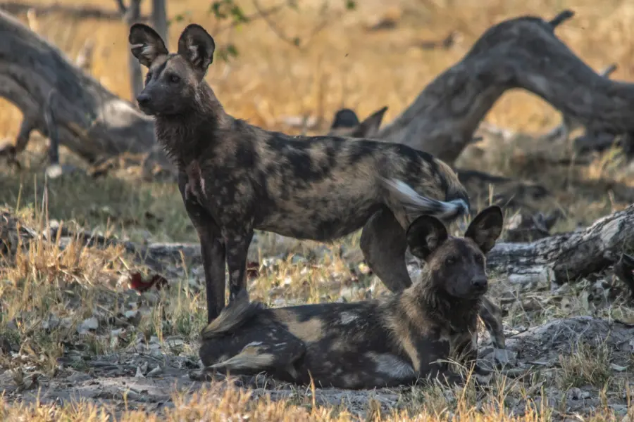 Duncan mcnab Dcp Lho T5 Nv E unsplash