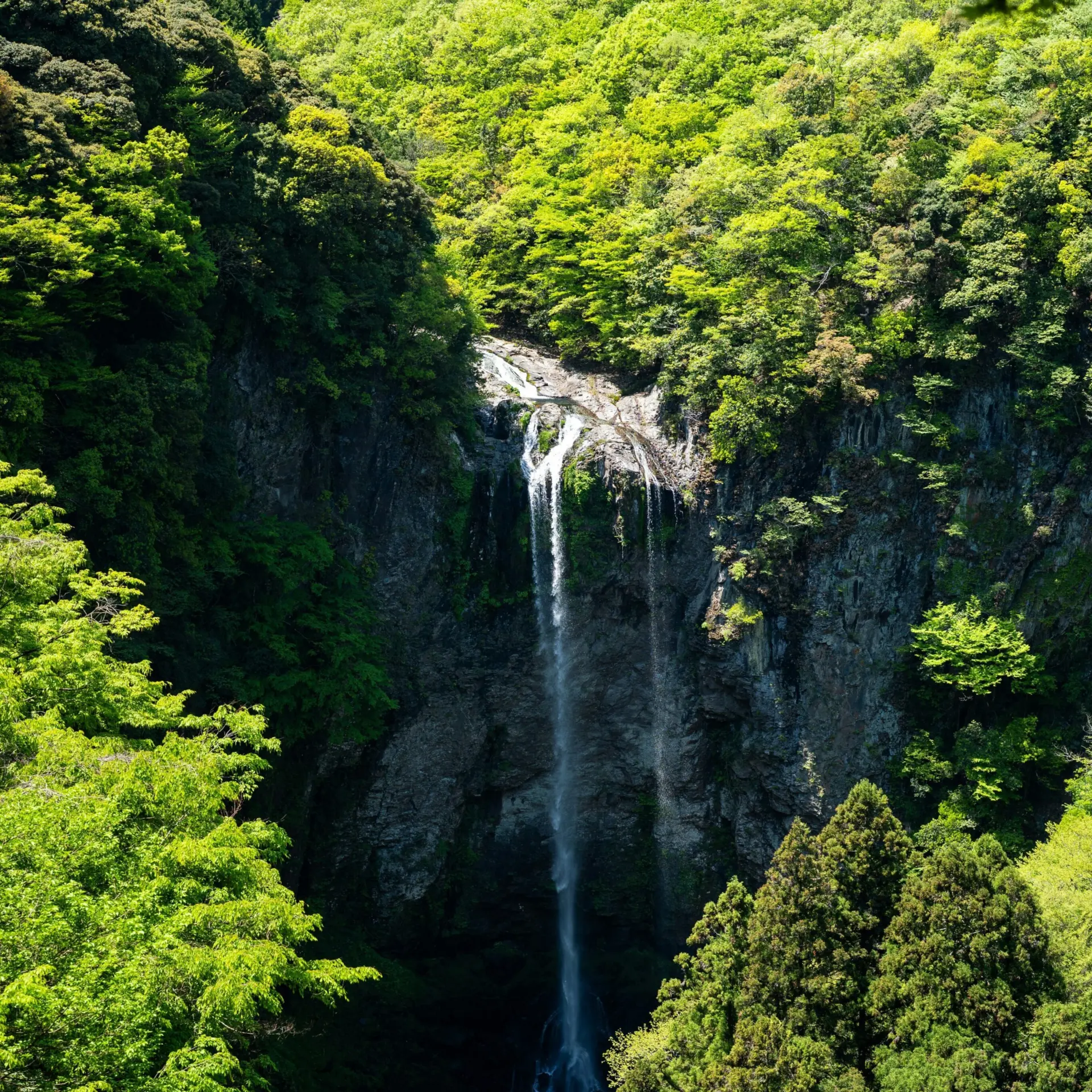 Kouji tsuru 7gub3wjvkik unsplash2