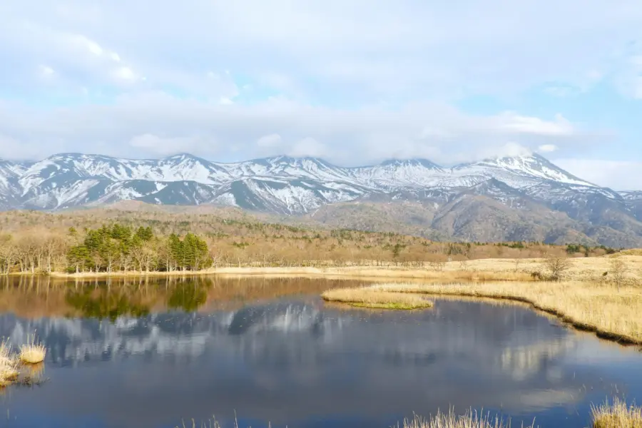 Delvin abdiel rwajwflpzdq unsplash