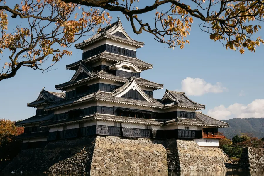 Markus winkler d2fcxjfy6zq unsplash