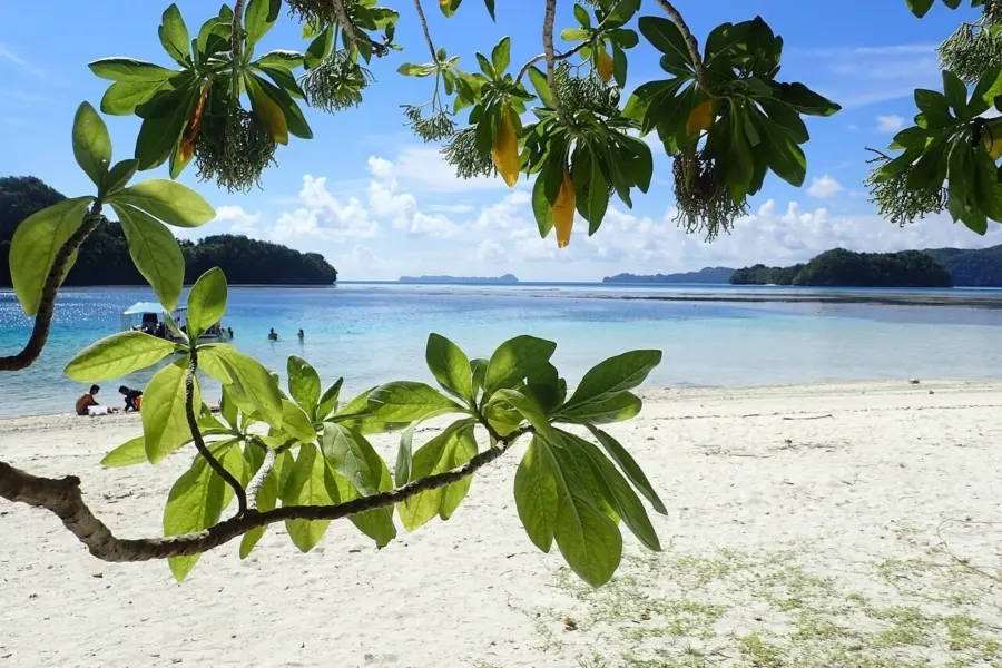 White beach 21024261280