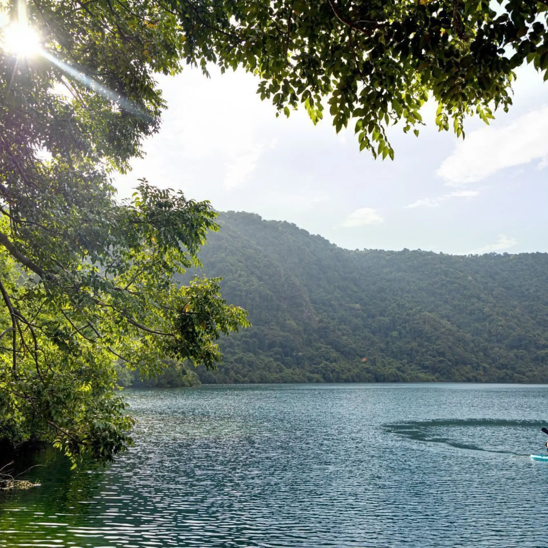 1774346923686dlimofx1