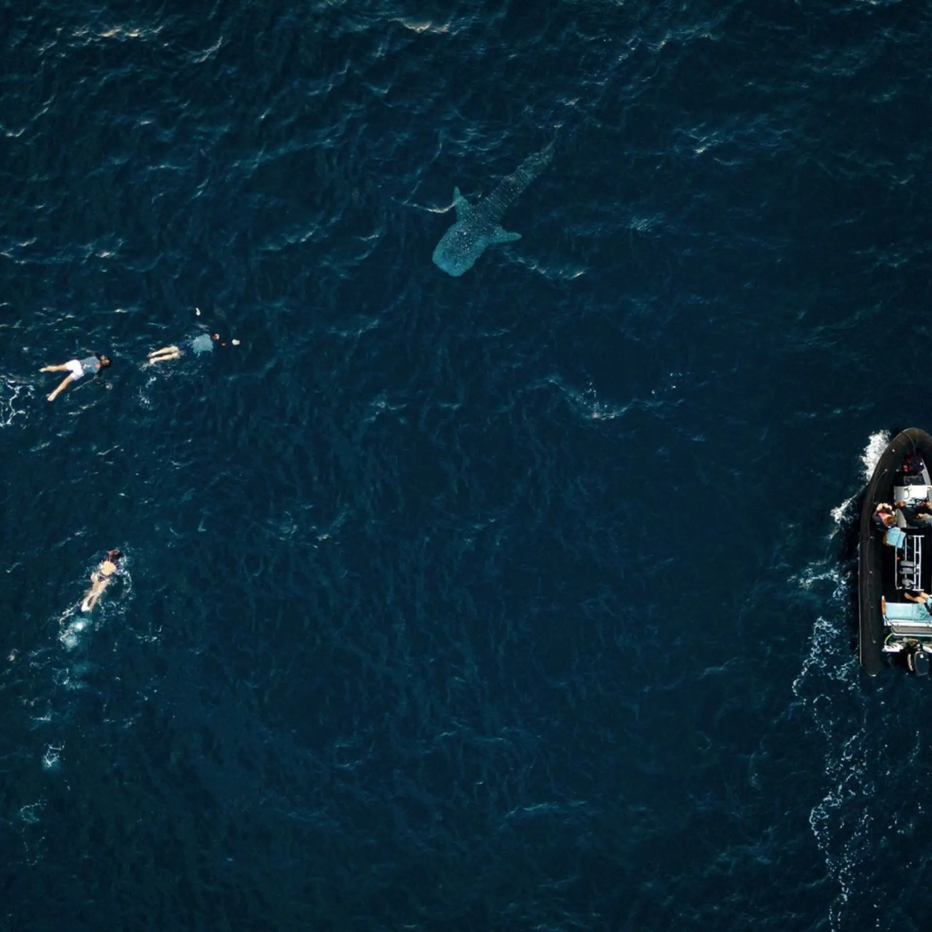 1774348133401py20pifw