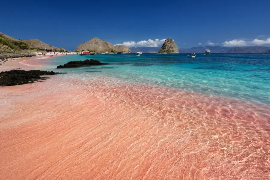 Takashi miyazaki mlyu5ipnnu unsplash