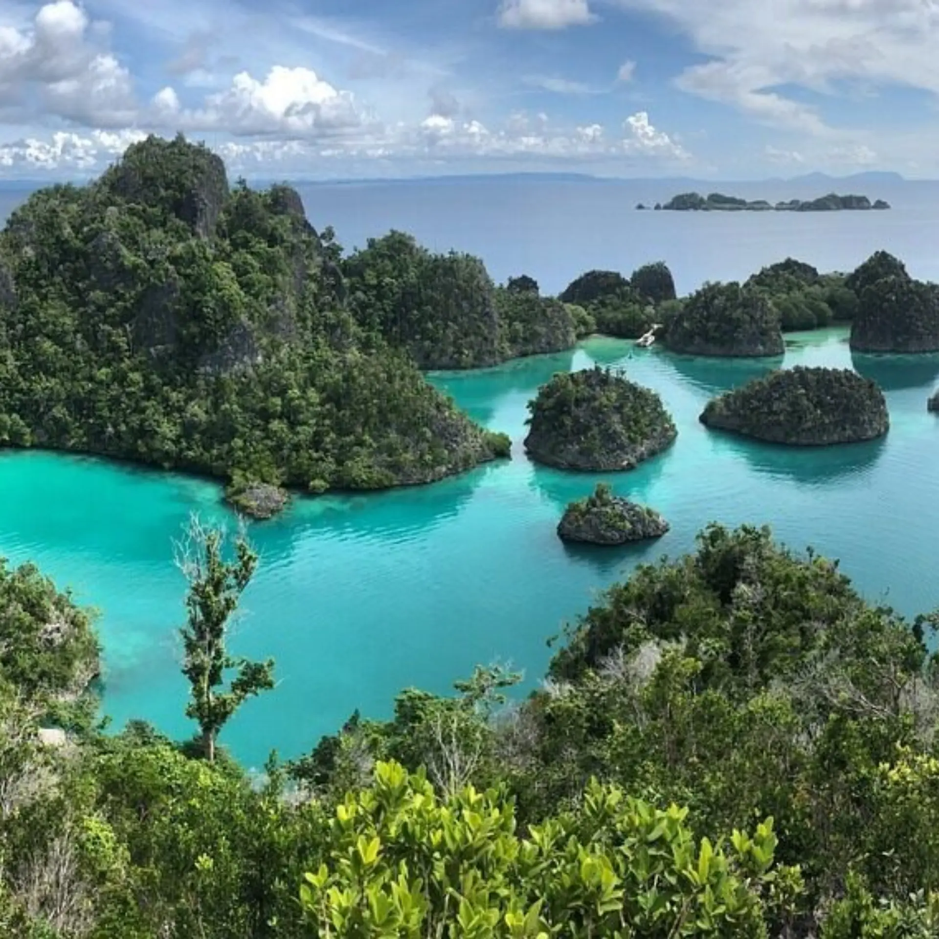 Raja ampat 3143652960720
