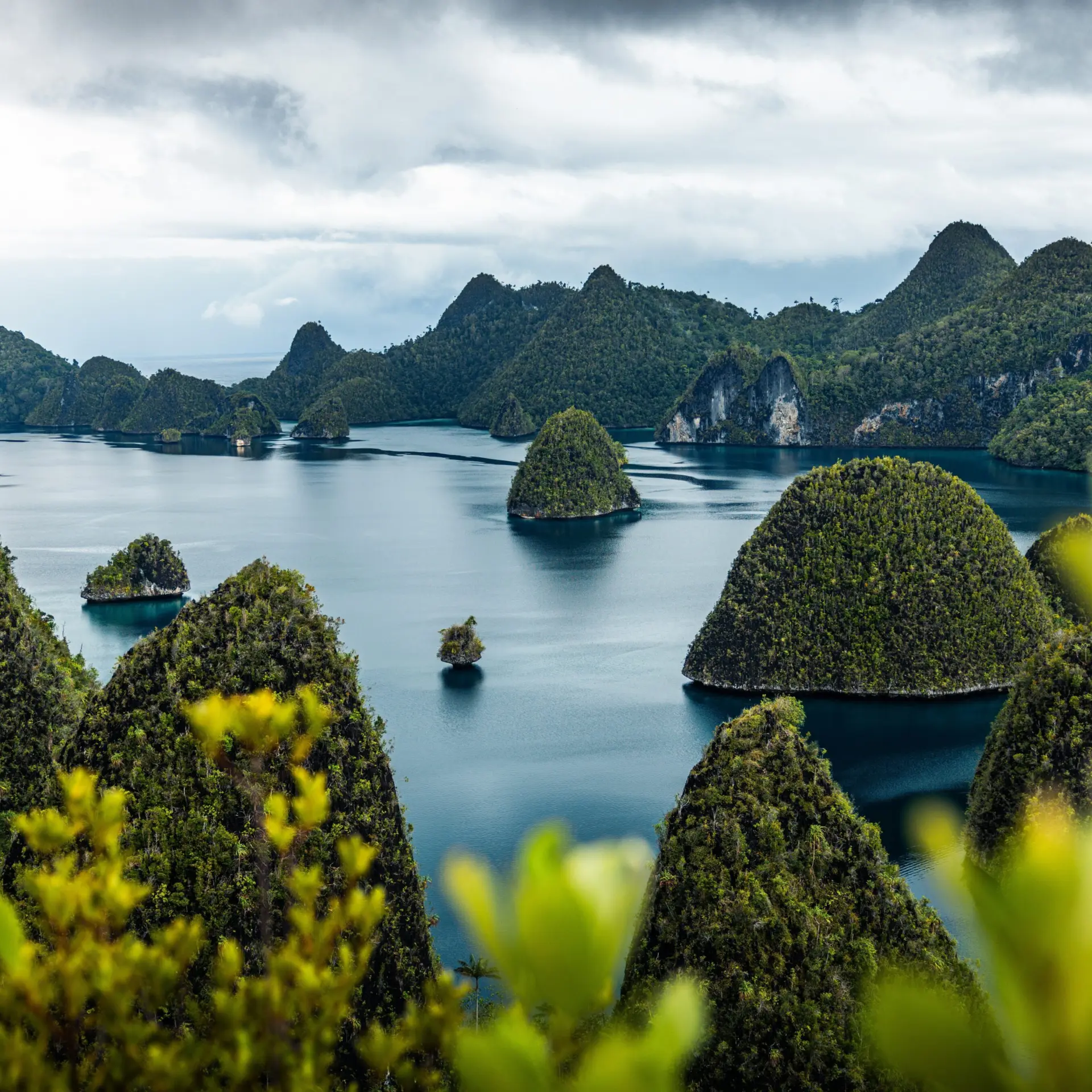 Simon spring rxjkbktvcui unsplash