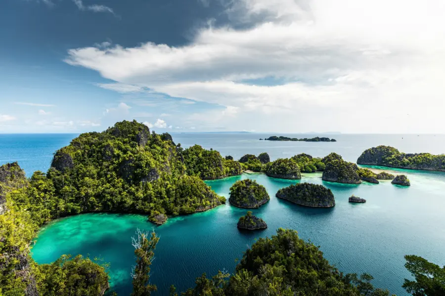 Simon spring bedy6wztfg unsplash