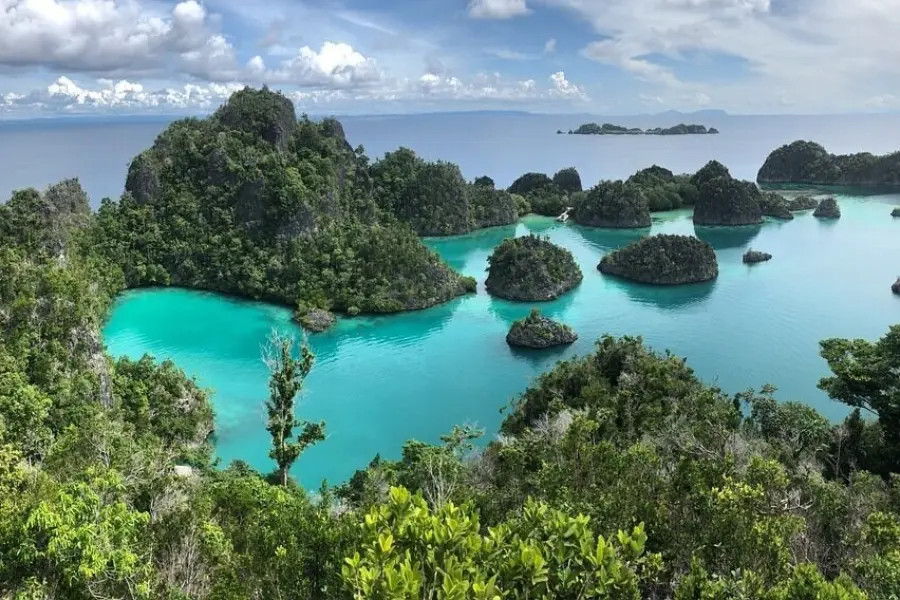 Raja ampat 3143652960720