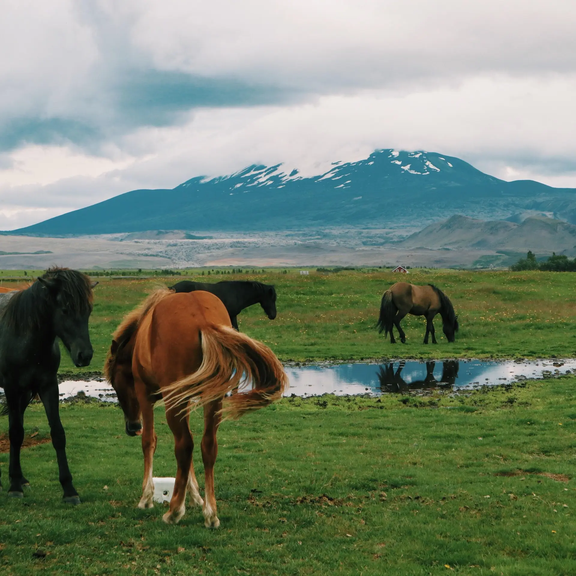 Mount hekla