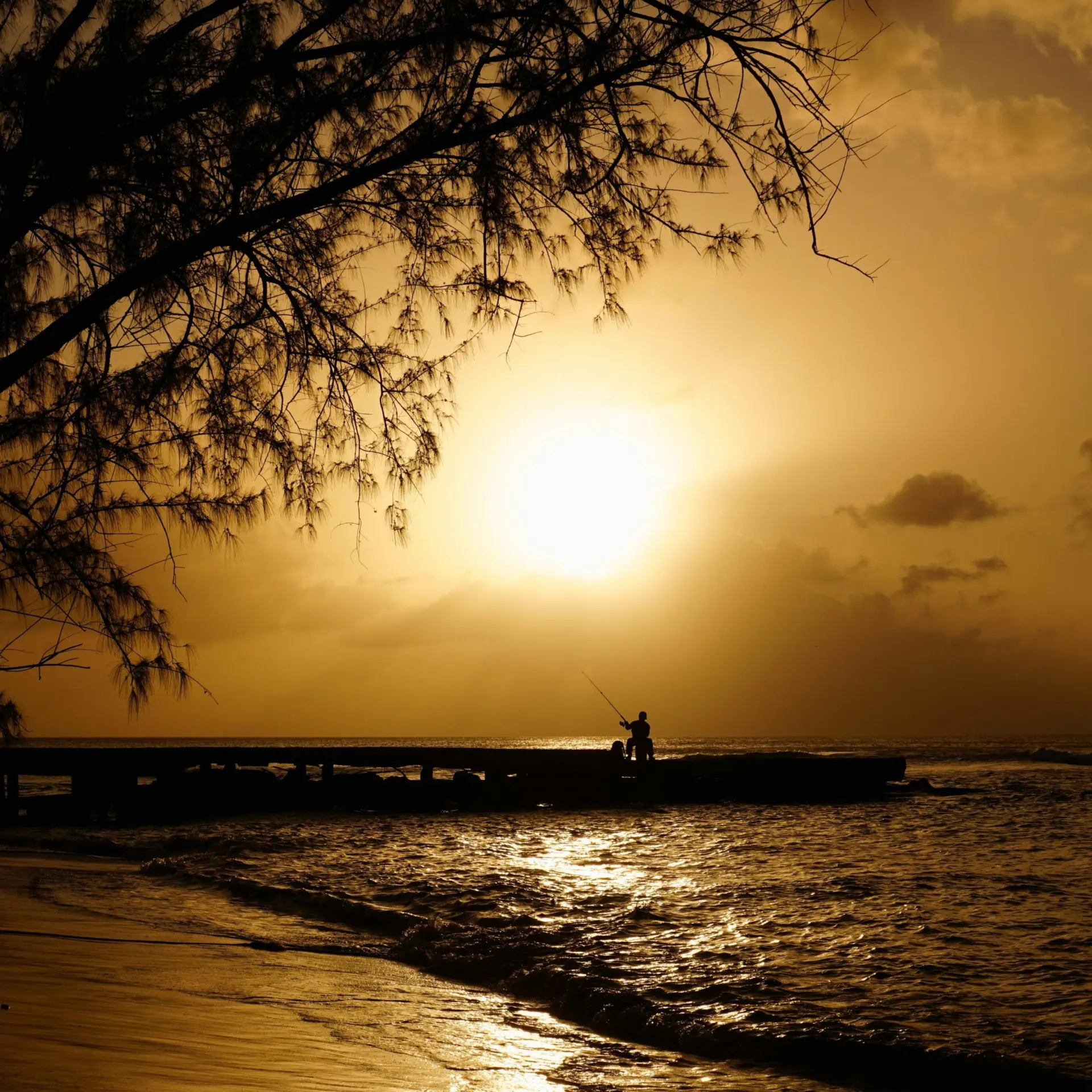 Chloe christine kjoubfmqq unsplash