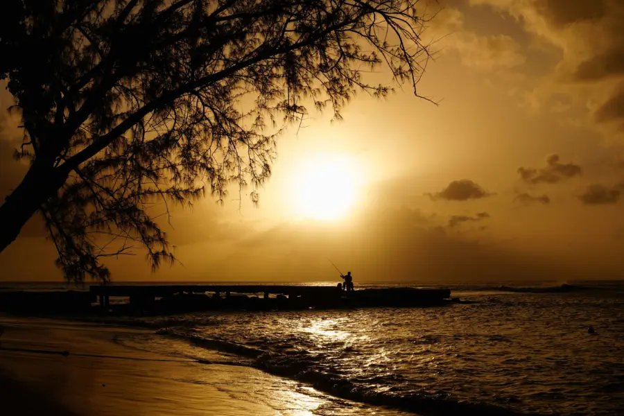 Chloe christine kjoubfmqq unsplash