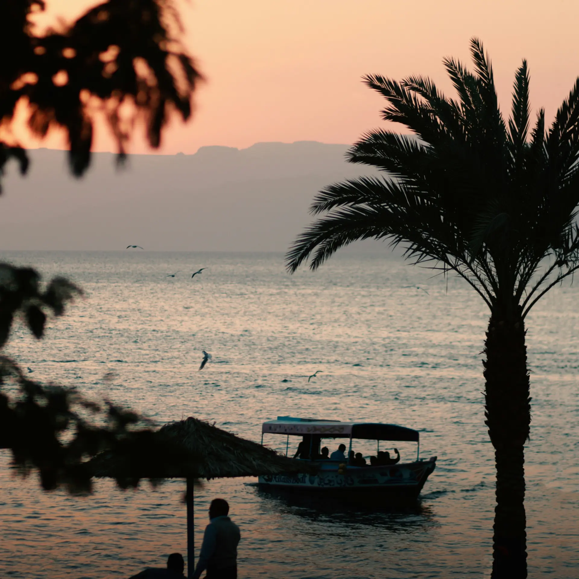 Mohammad naser k0 f4rib8xu unsplash