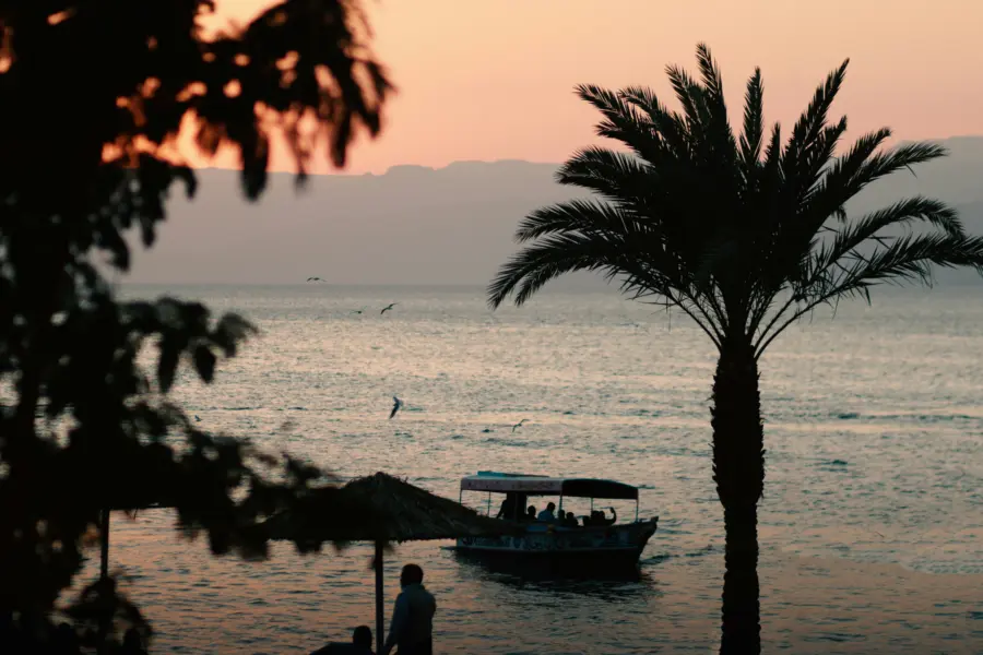 Mohammad naser k0 f4rib8xu unsplash