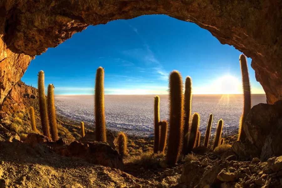 Cactus island in uyuni