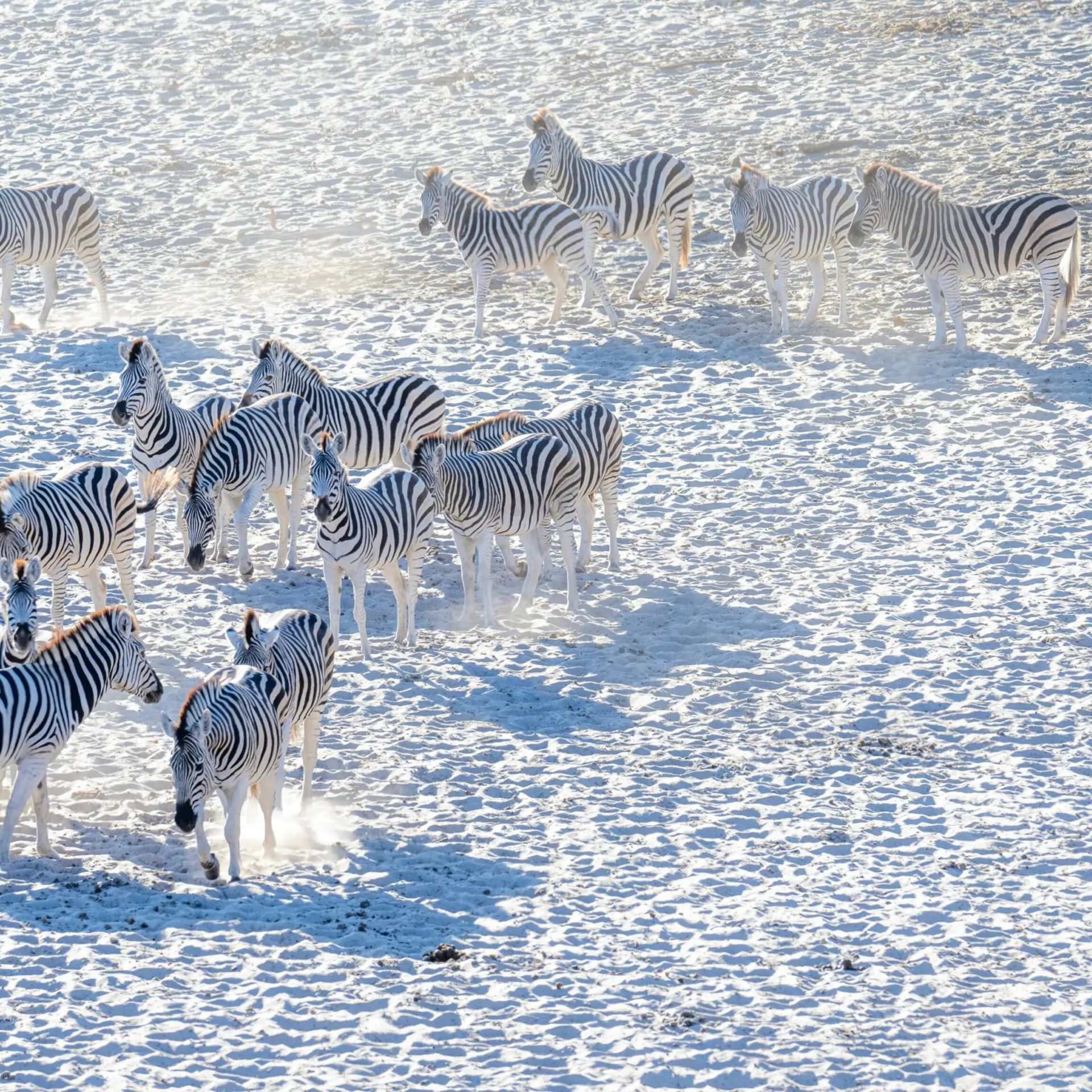 Birger strahl yo7zffz8jy unsplash1