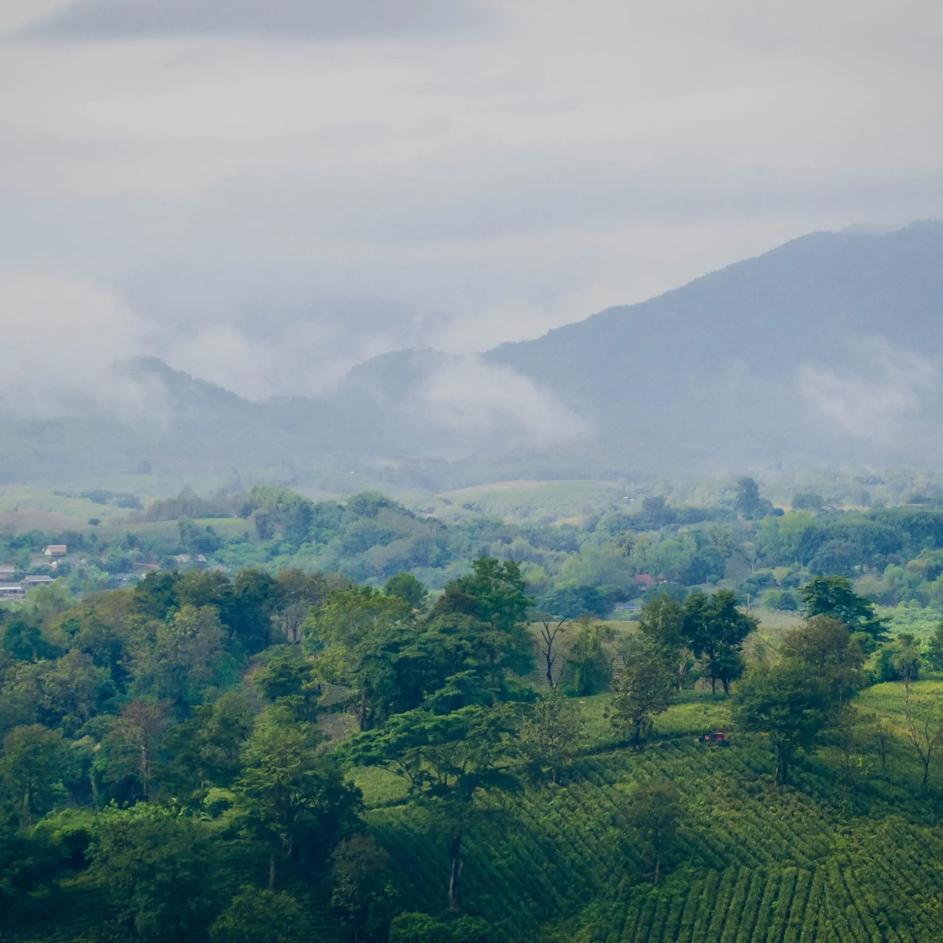 Waranont joe bqr79ftu17g unsplash