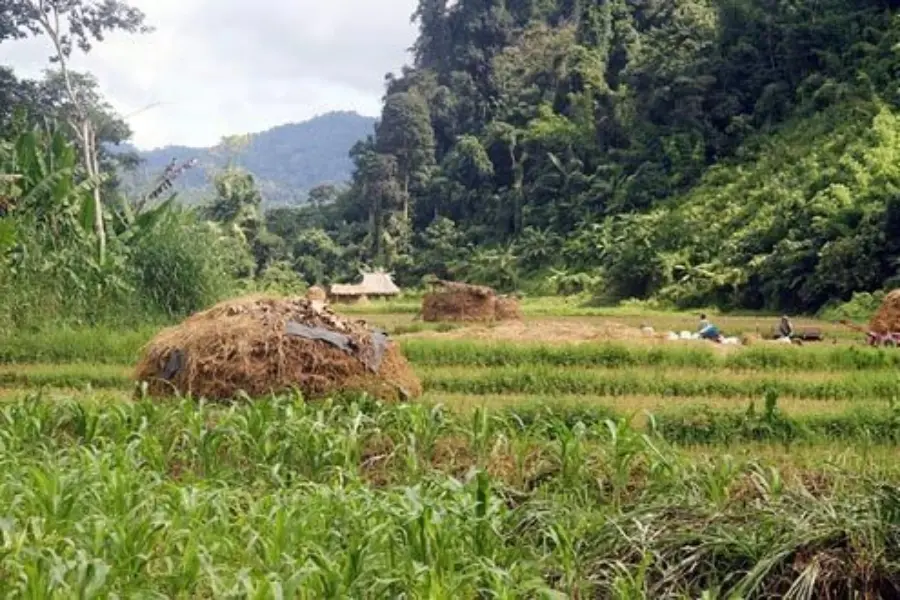 Agriculture 1