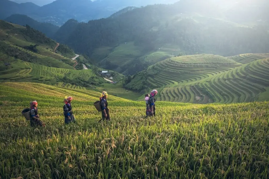 Agriculture 1793403 1280