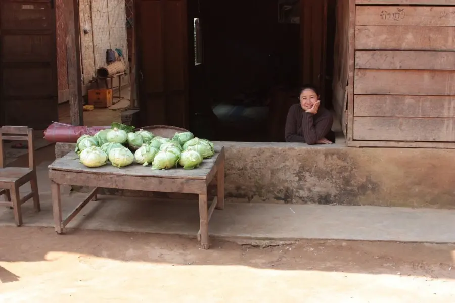 Market 180460 12802