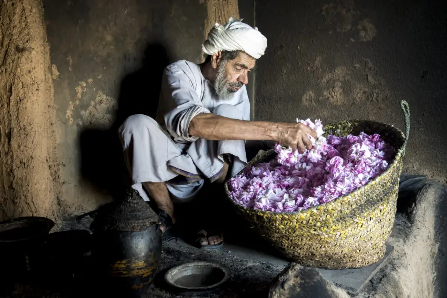 Old omani man with rose petals jebel akhdar ad dakhiliyah ministry of heritage tourism sultanate of oman