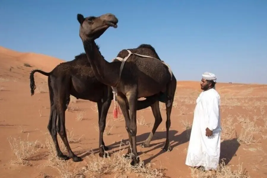 Rub al khalid woestijn tour 5