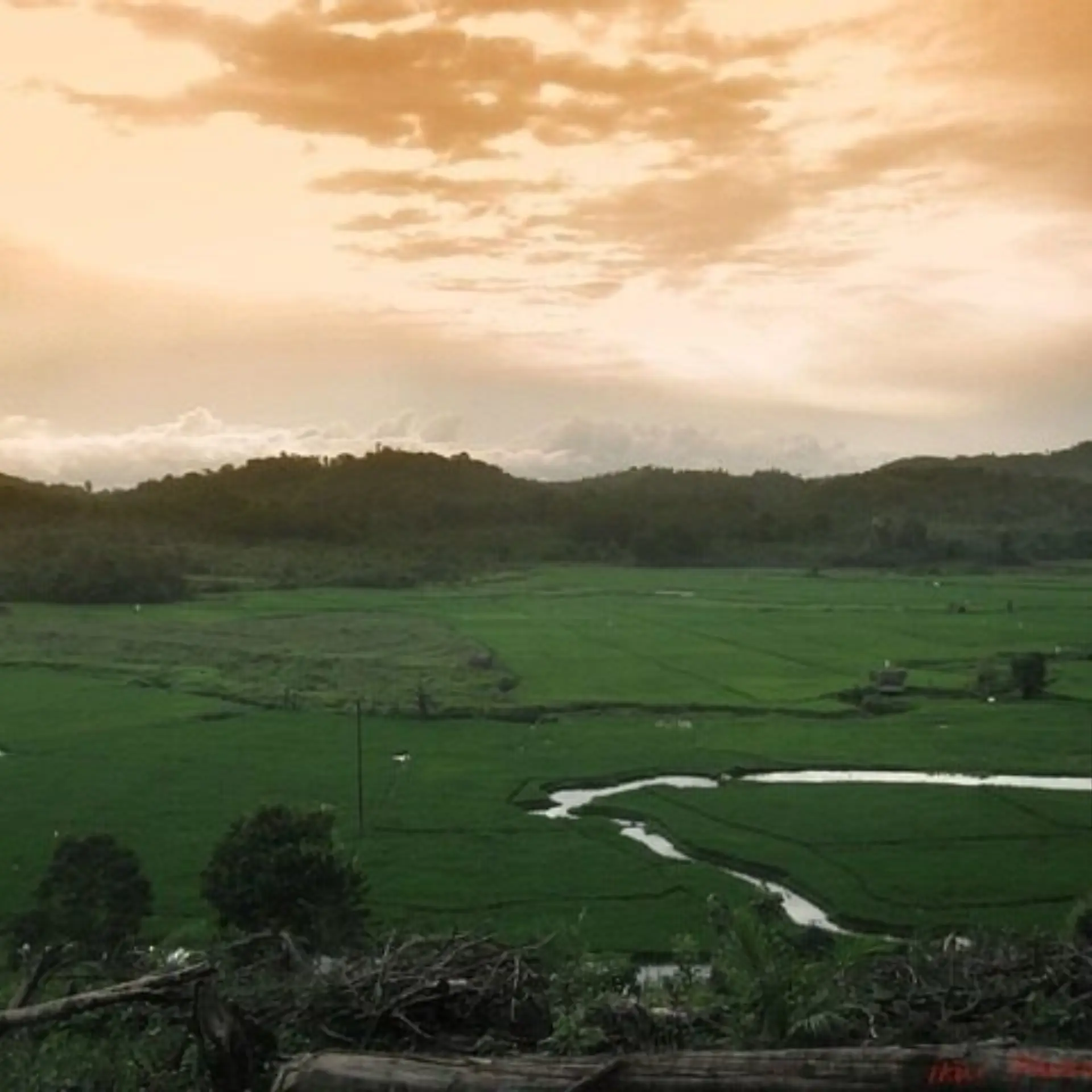 Pemandangan 235110640