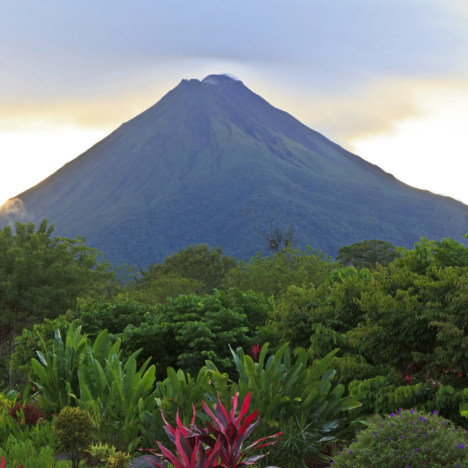 Arenal2
