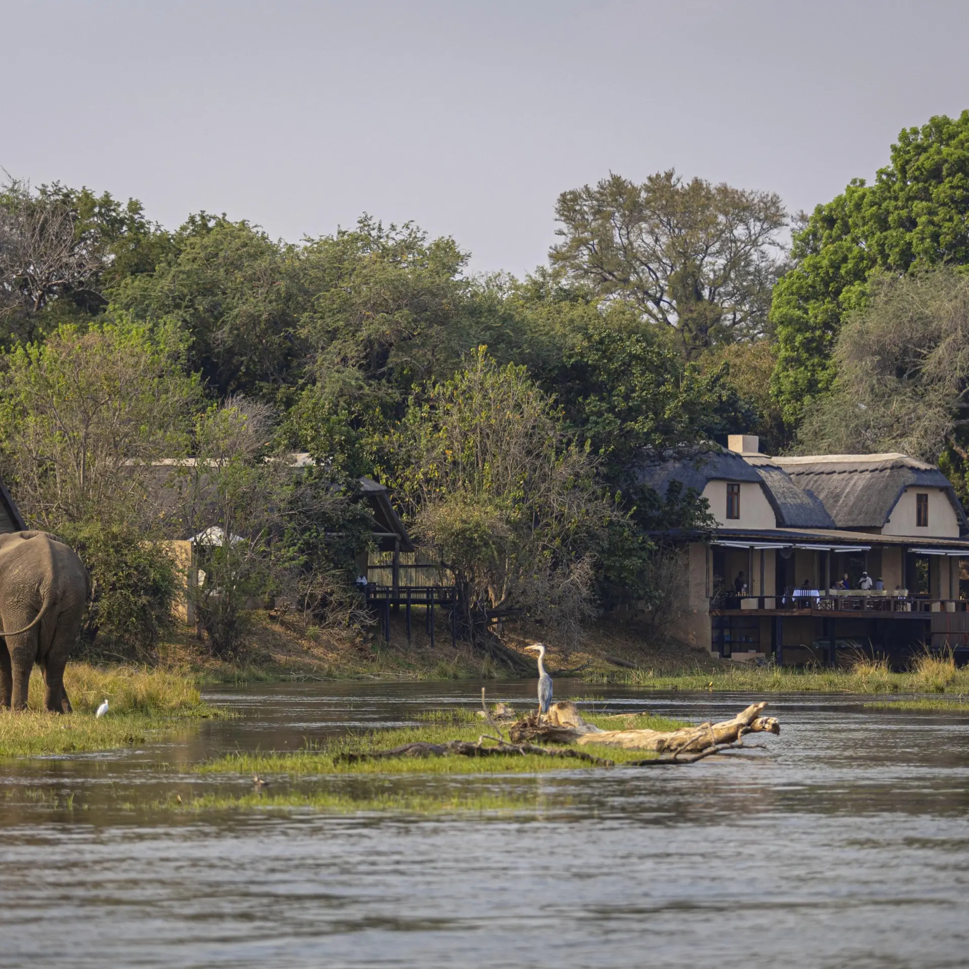 Royal zambezi 2022 104 1