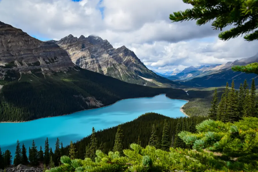 Peyto lake alberta canada