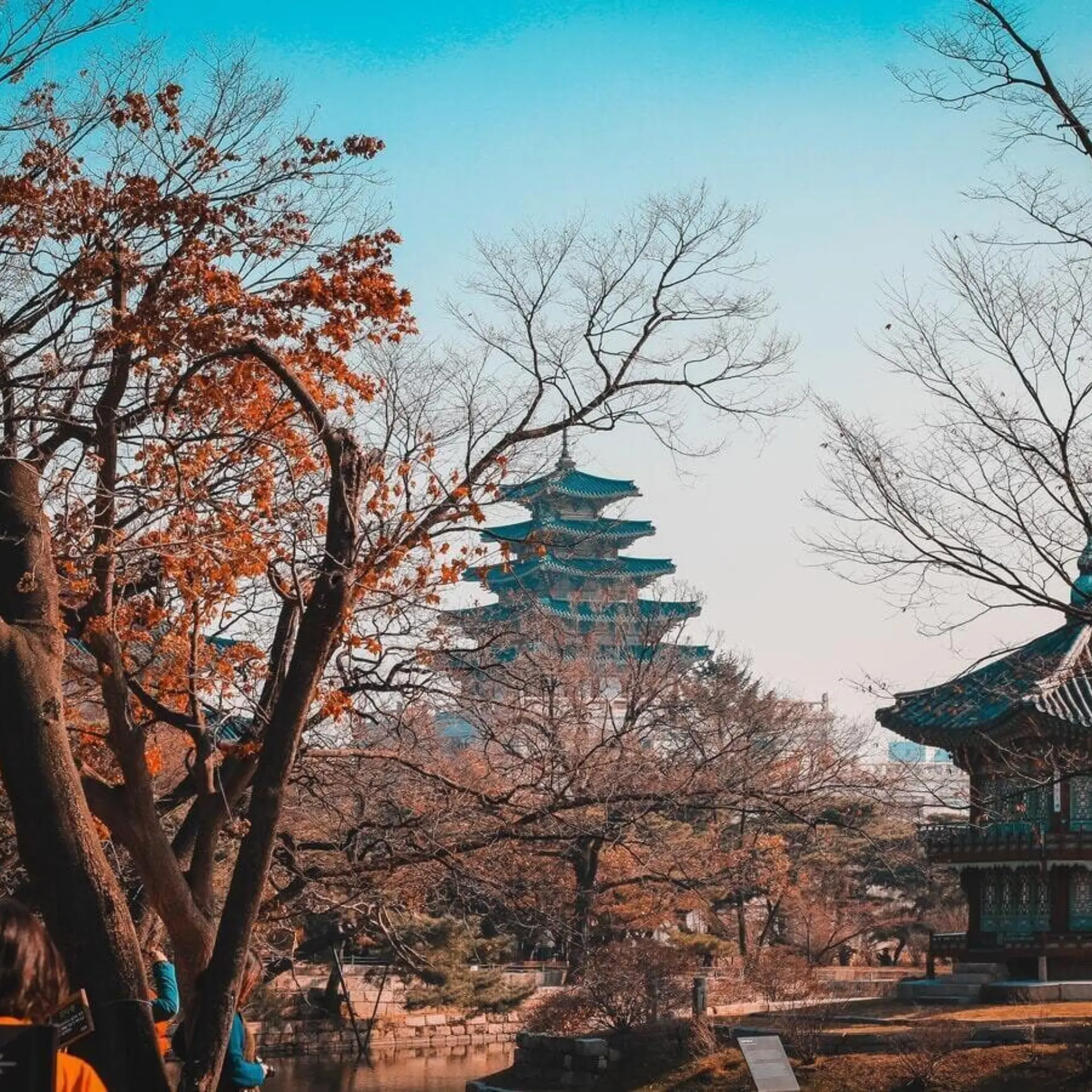 Photo 1583833008338 31a6657917ab