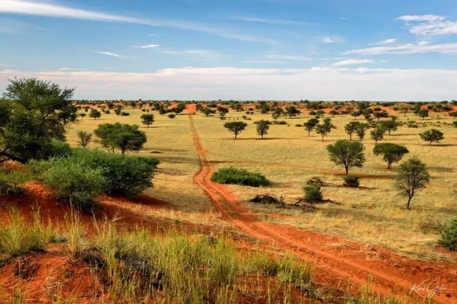 1 kalahari