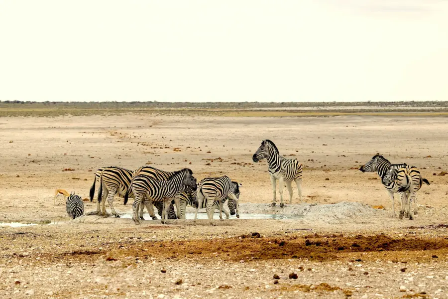 Jean woloszczyk e7 qjmjozjk unsplash