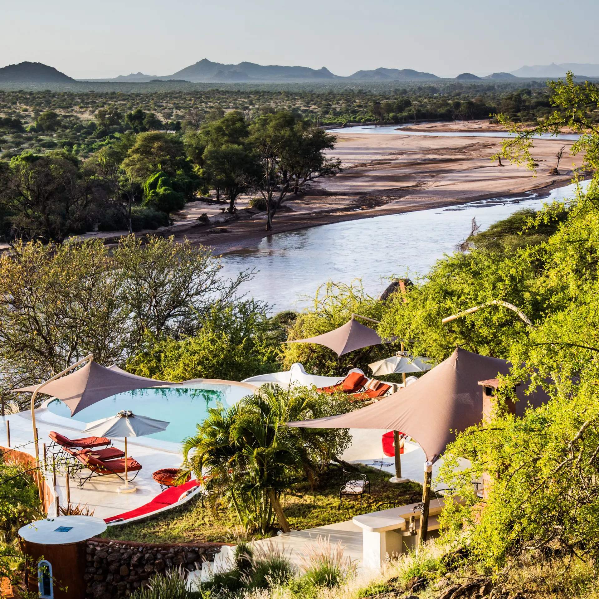 Safari collection copyright scott ramsay 3804