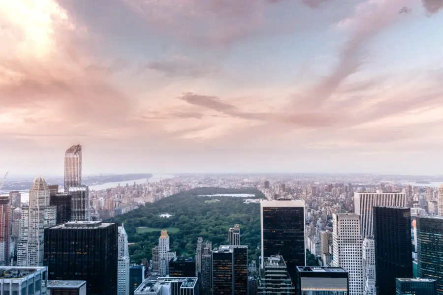 Mohit singh 2zyydg0ldhs unsplash