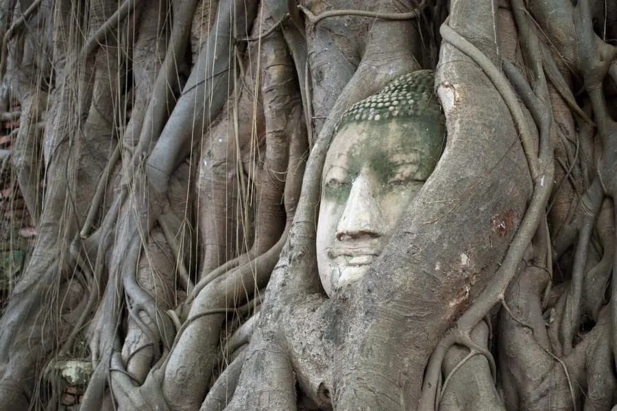 Buddha head 1715936 1280